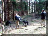 Waldspaziergang