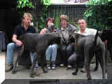 Iskas Z�chter, ihre Doggen und wir