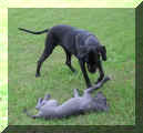 Grace mit Iska