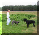Spaziergang mit Paulin
