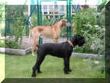 Brian & Trixi