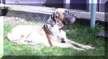 Danny tankt Sonne