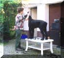 schlanker Schnitt