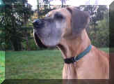 Paule1Heide.jpg (24437 Byte)