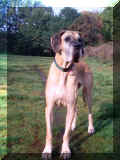 Paule2Heide.jpg (53169 Byte)