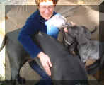 im Doggengedr�ngel