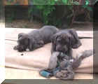 meins!!!!!!!!