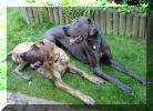 synchron liegen & gucken....;o)