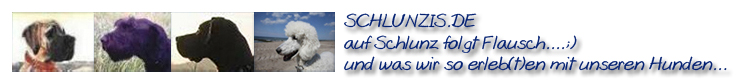 http://www.schlunzis.de