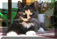 beim Sonnenbaden...........;o)