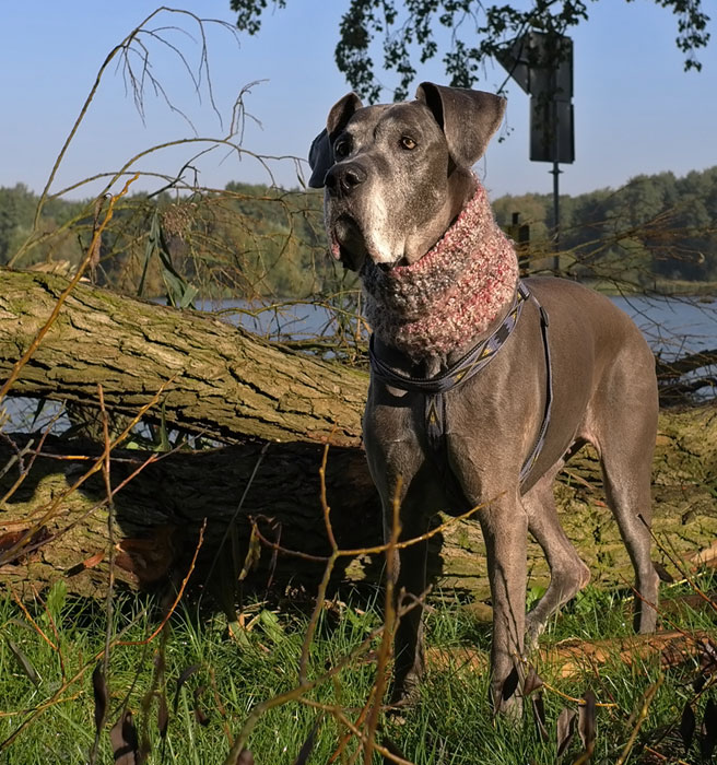 Iska mit zehneinhalb Jahren...♥