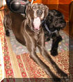 Iska & Olli