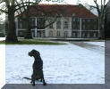 Schlosshund?????