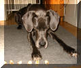 Warten ist ein schreckliches Wort.......;o)