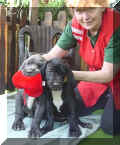 Gudrun mit Keres und Korvi