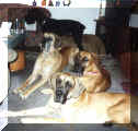 Schlunzis mit Bjuka und Ondra
