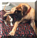 Wilma und Paulchen