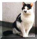 unser Bruno