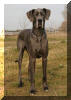Iska im November 2005