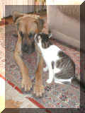 Nero und Kater Benjamin