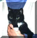 unsere Nicki