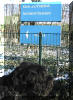 Olli am 23.01.2004