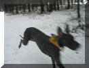 Iska im Januar 2004