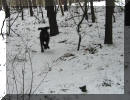 Olli am 27.01.2004